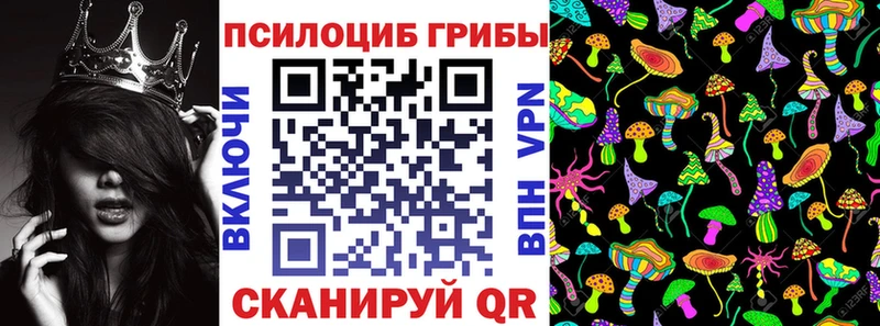Галлюциногенные грибы Magic Shrooms  Устюжна 